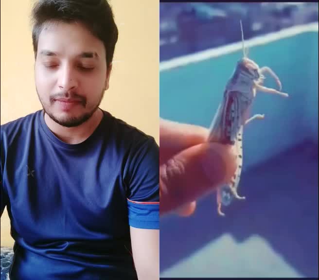 @Rohit Vaidya