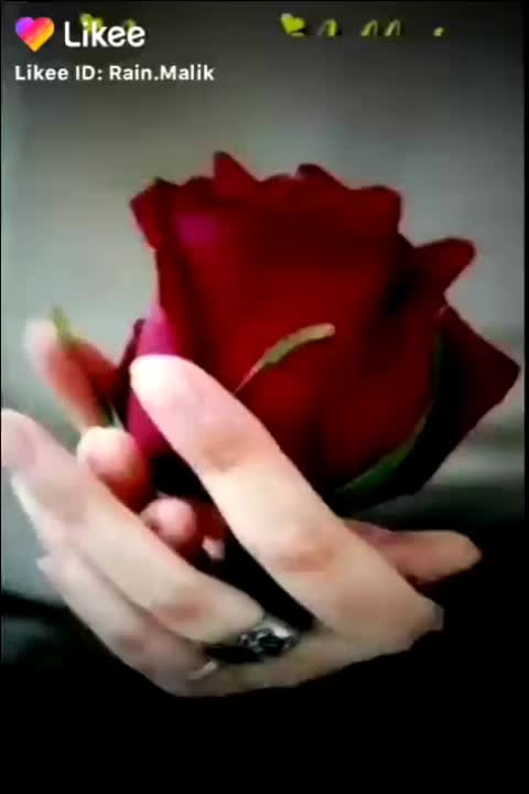 @user2158660559292