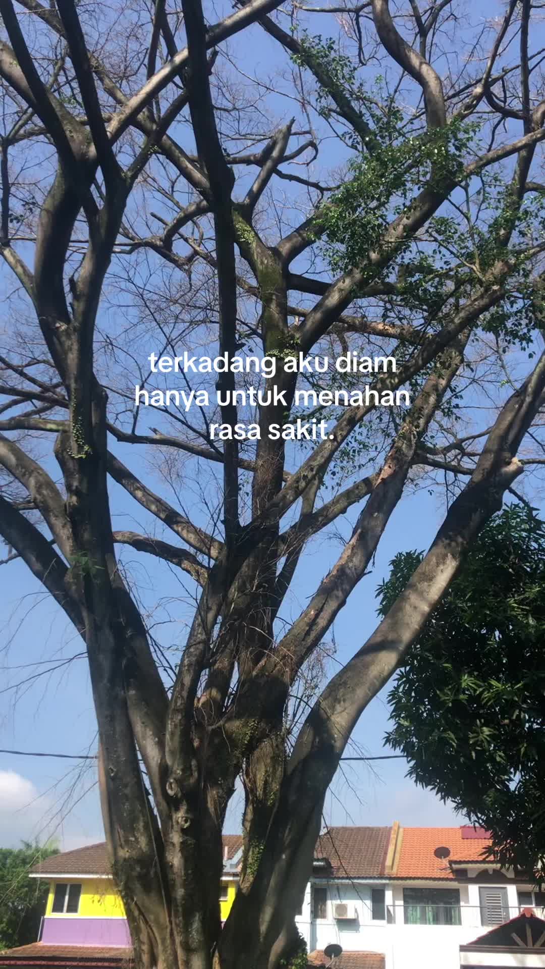 @ints.lab