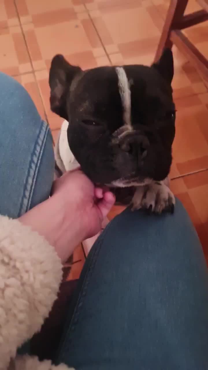 @Vale Fernández🥑