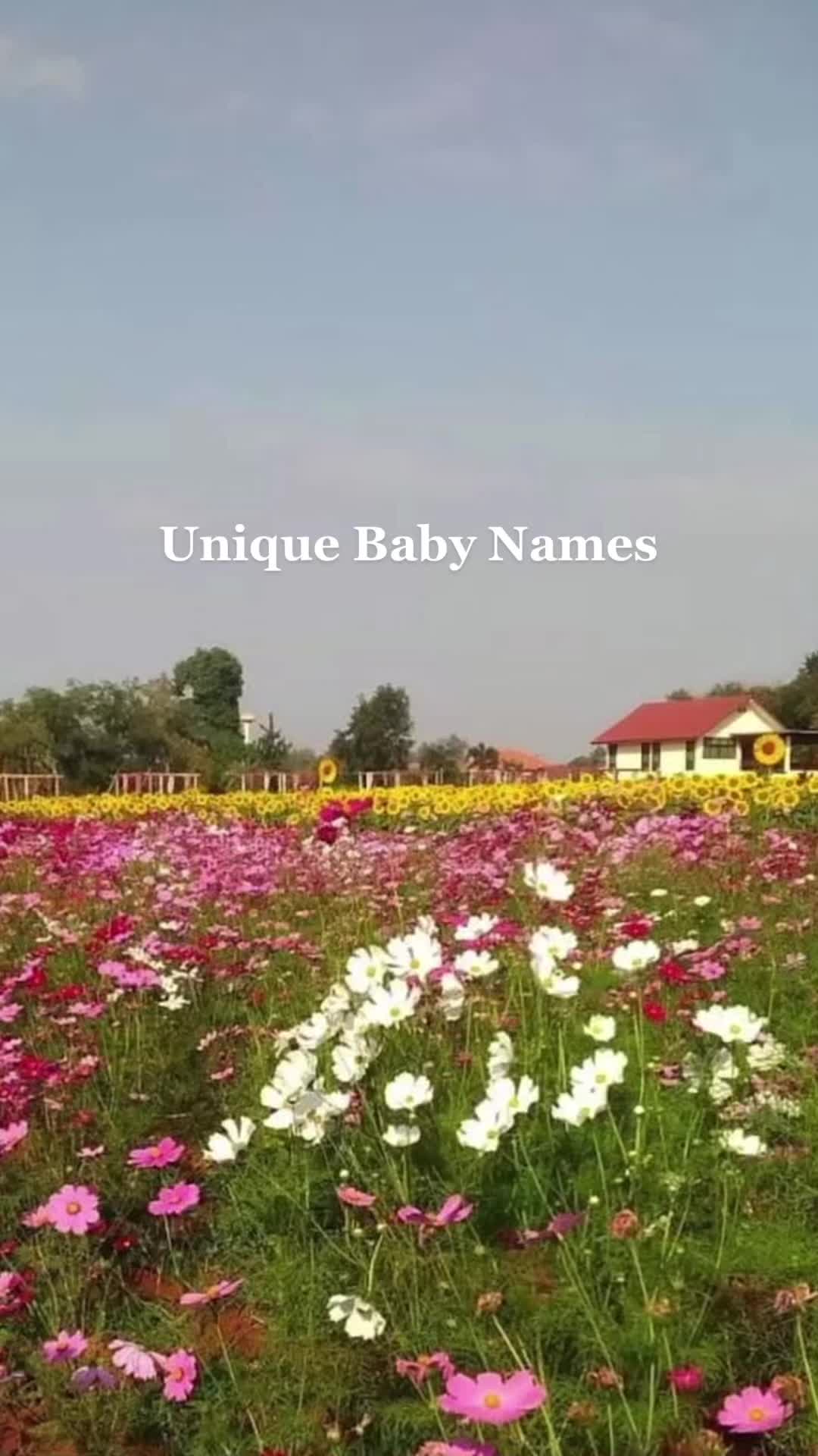 @babynameclub