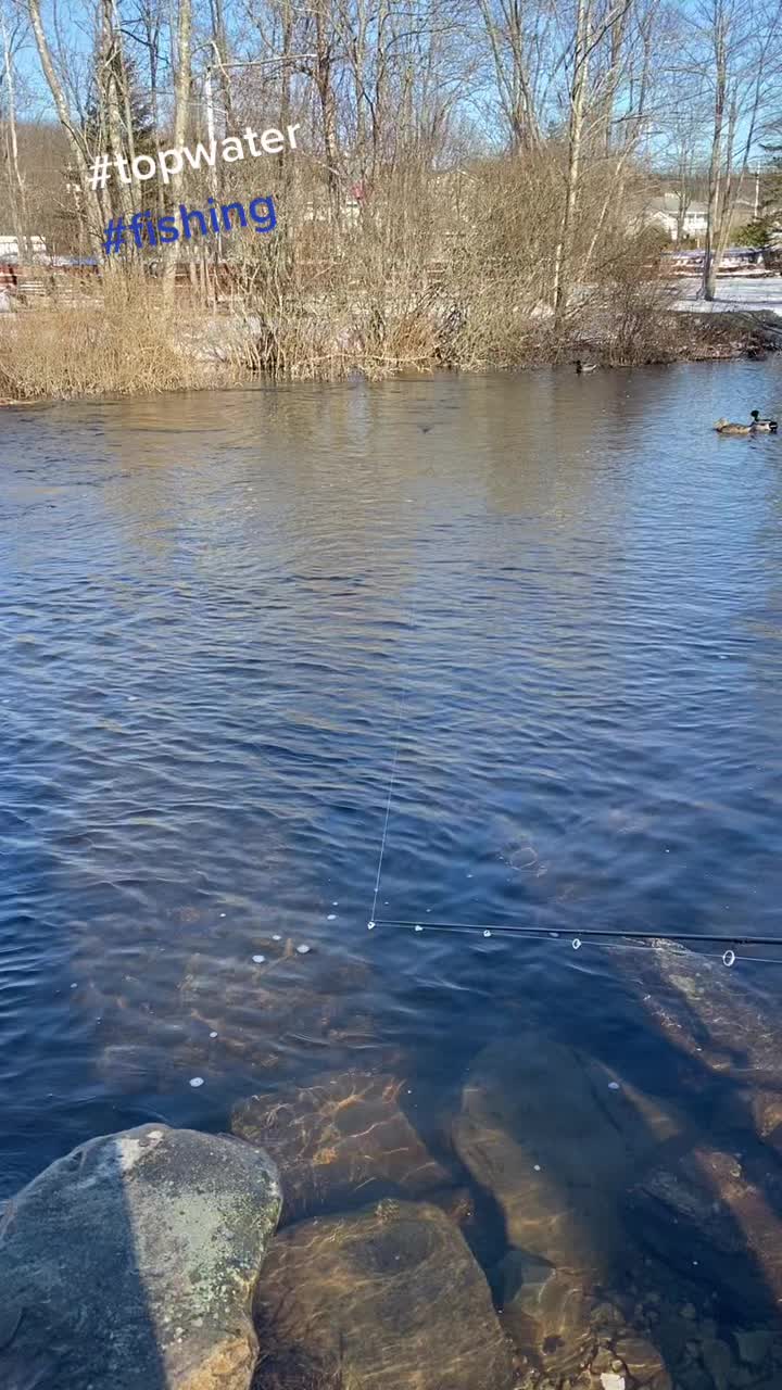 @fishing_britani🇨🇦