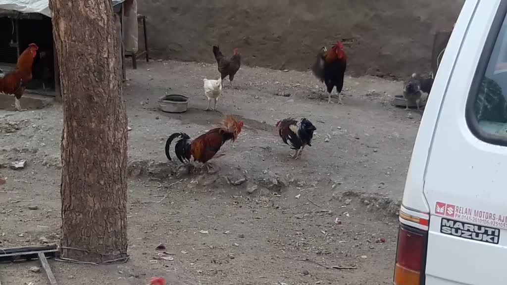 @Iqbal Durrani