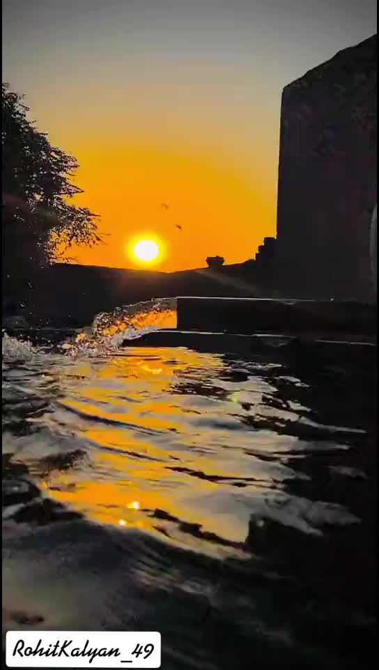 @Rohit Kalyan 49