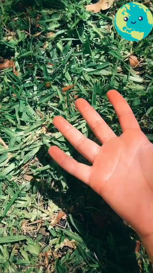 @Ayuda al planeta 🌍