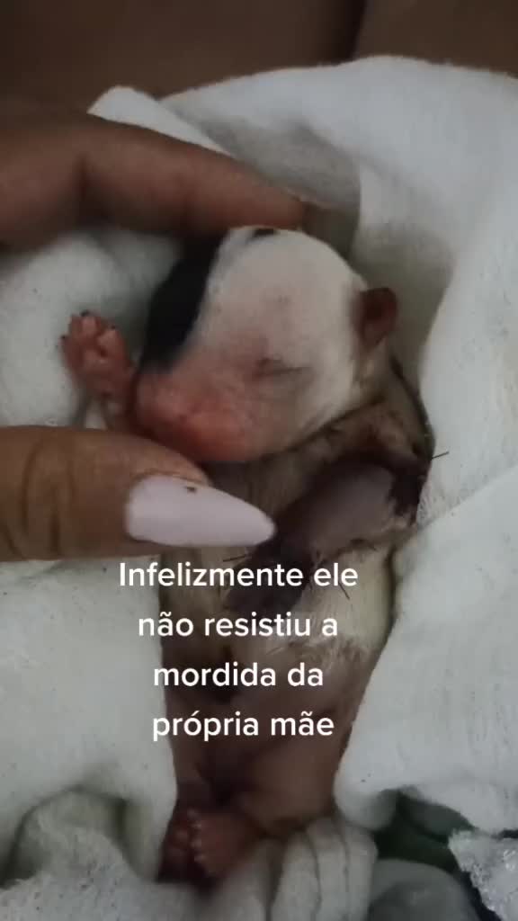 @Flávia Freitas
