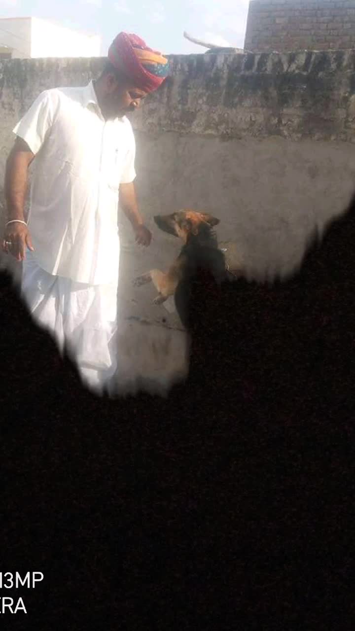 @RAVAN ⓐⓜⓑⓔⓓⓚⓐⓡ