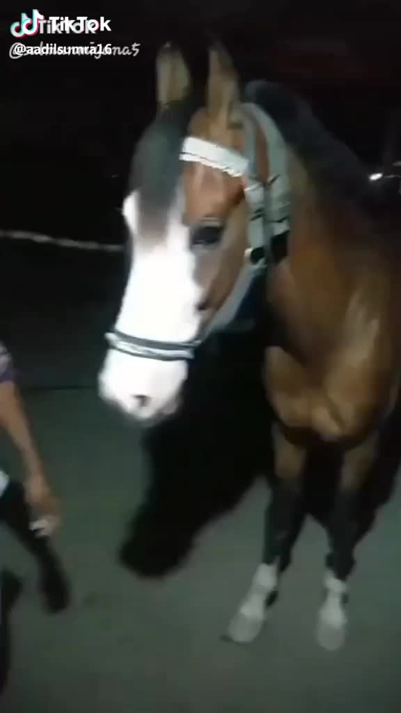 @Muttalib Rajbani