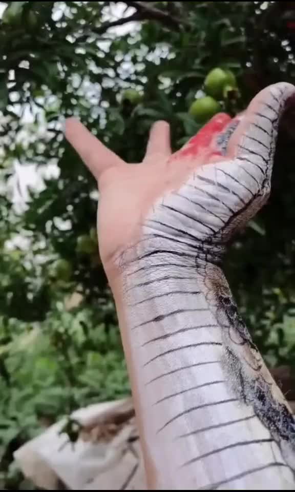 @🧑⚕️🩺 𝐃𝐎𝐂𝐓𝐎𝐑 🩺🧑⚕️