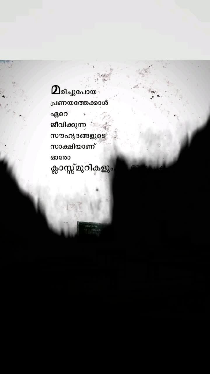 @user88289532257