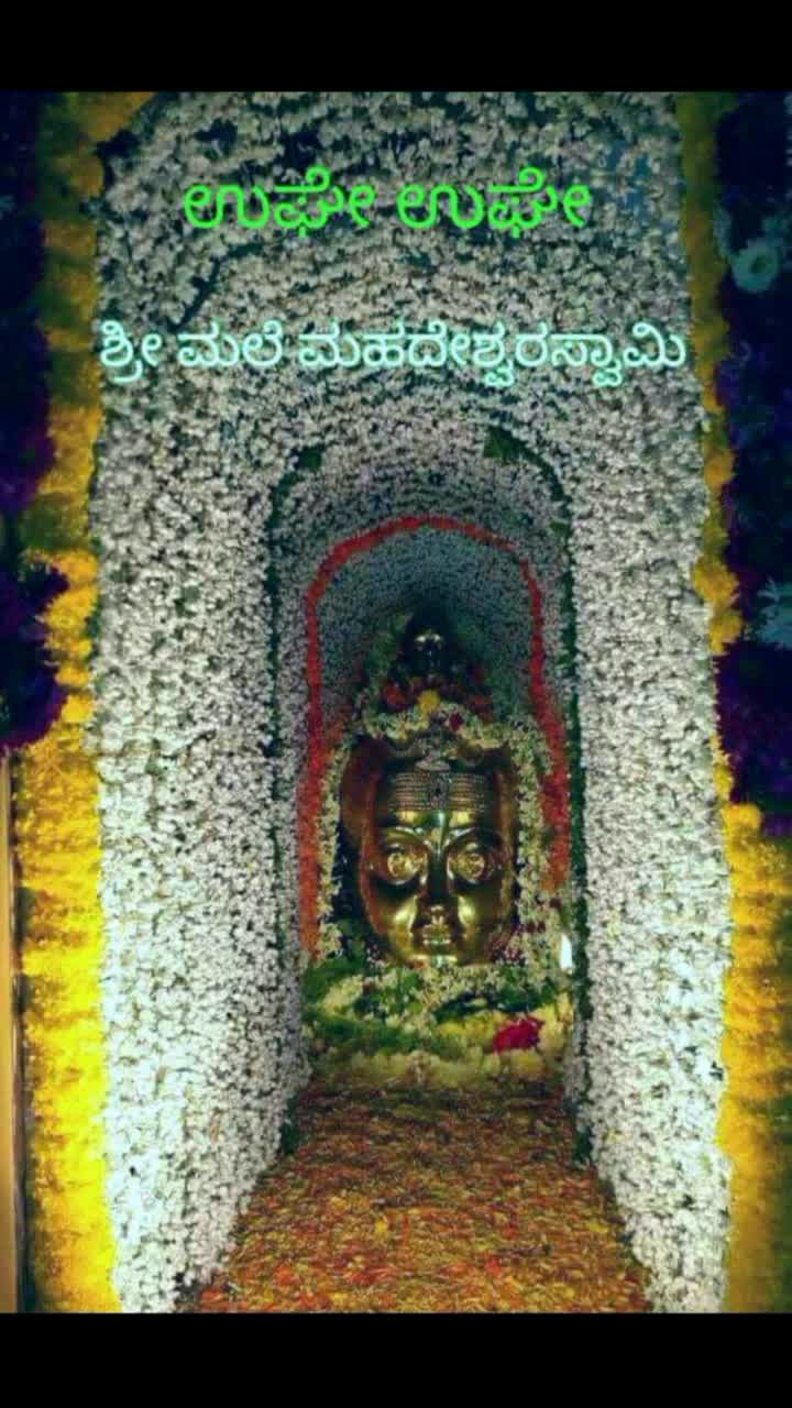 @Kavya Gowda