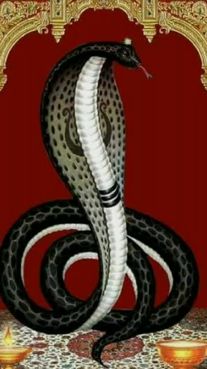 @vipulsinhvaghela
