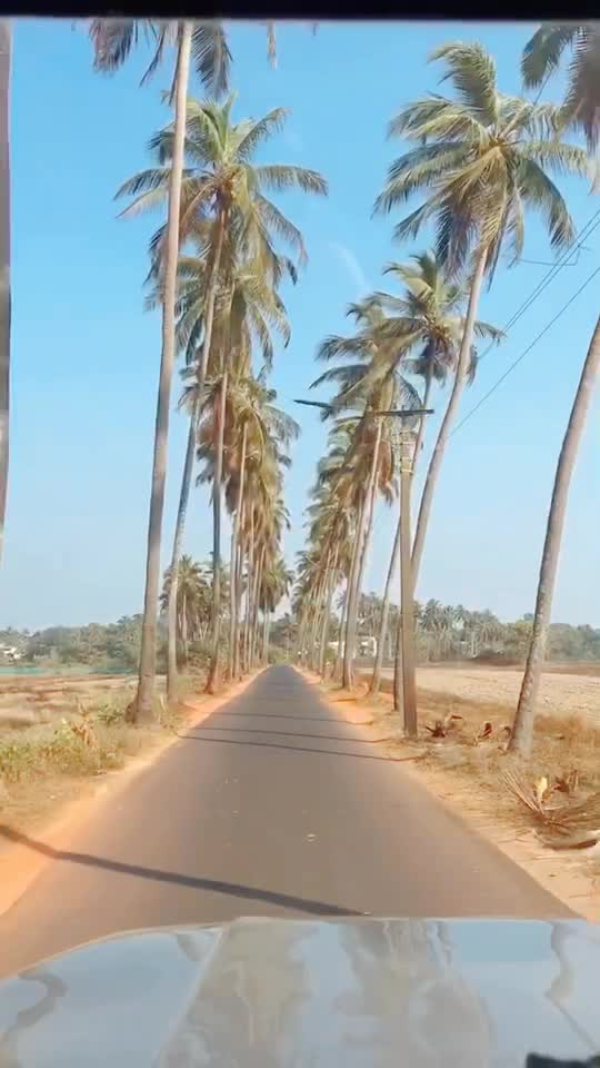 @Nidhi Sardal