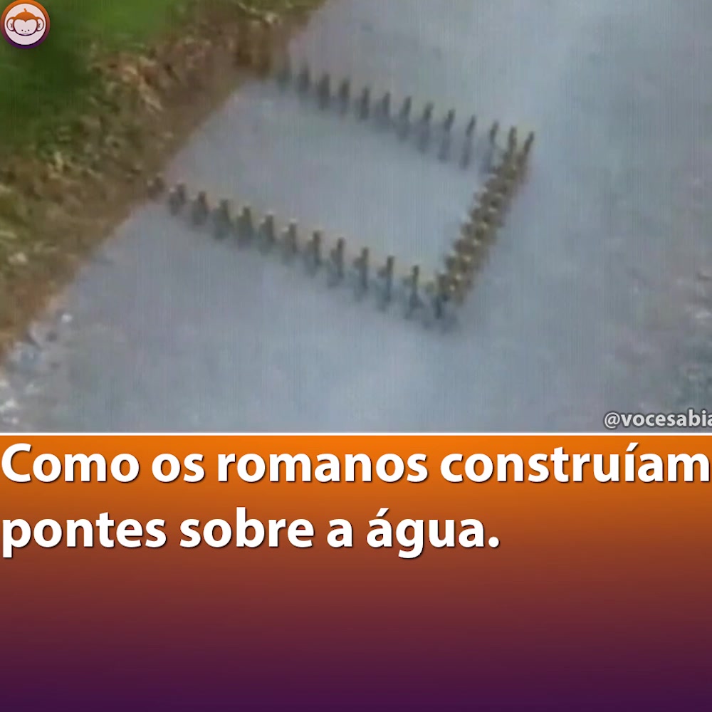 @Você Sabia?