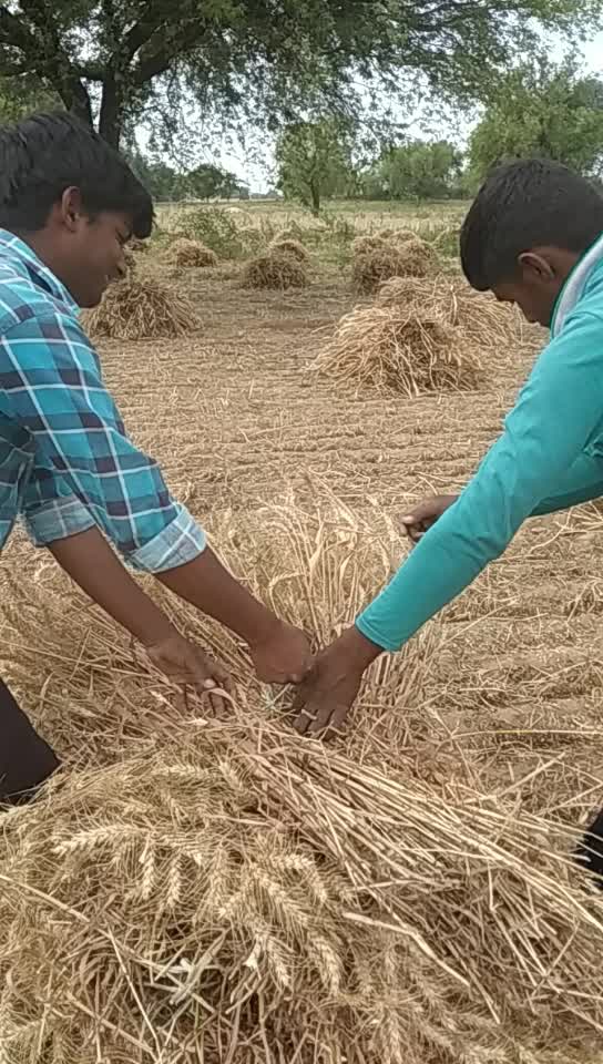 @Narender Sarewa