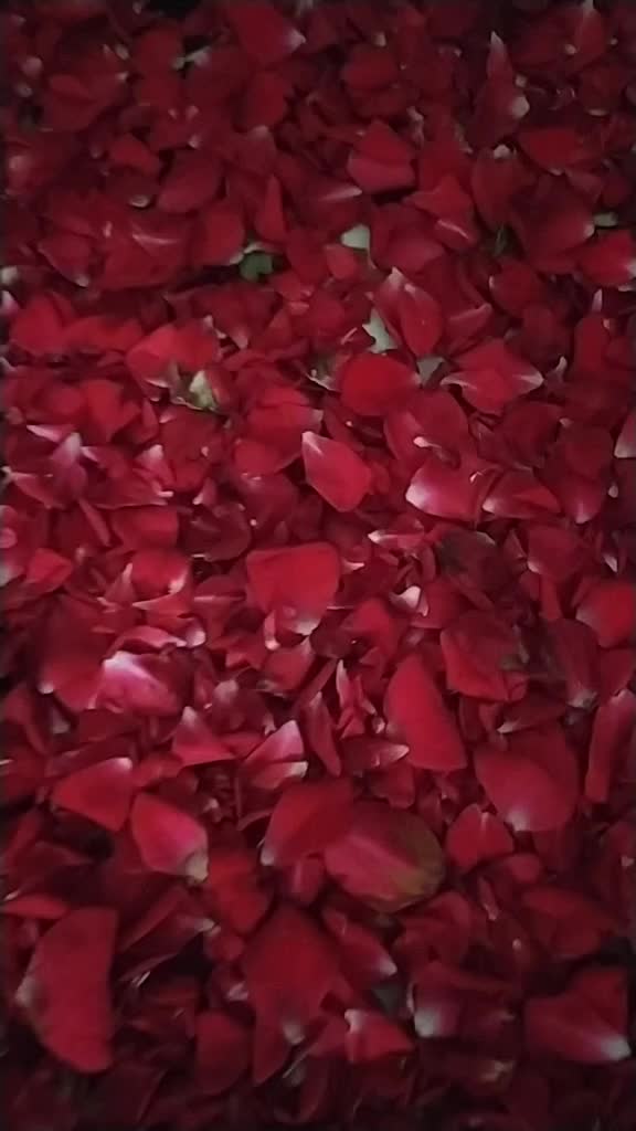 @Dhruv gupta
