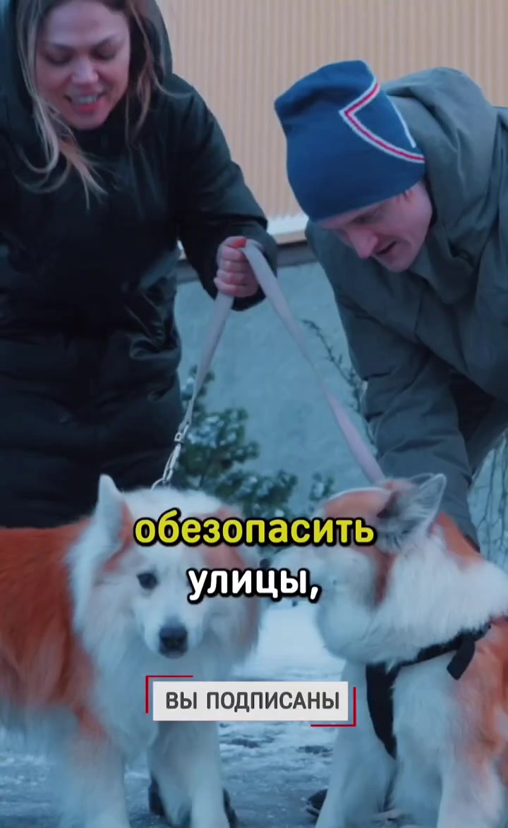@the best video