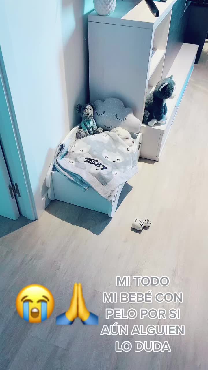 @patitasconsentidastobby