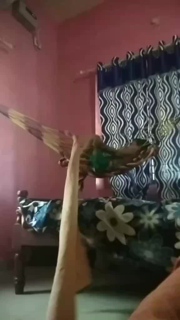 @udayanalakode