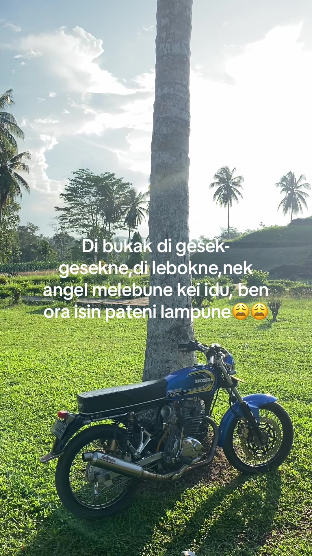 @Ari Gendon
