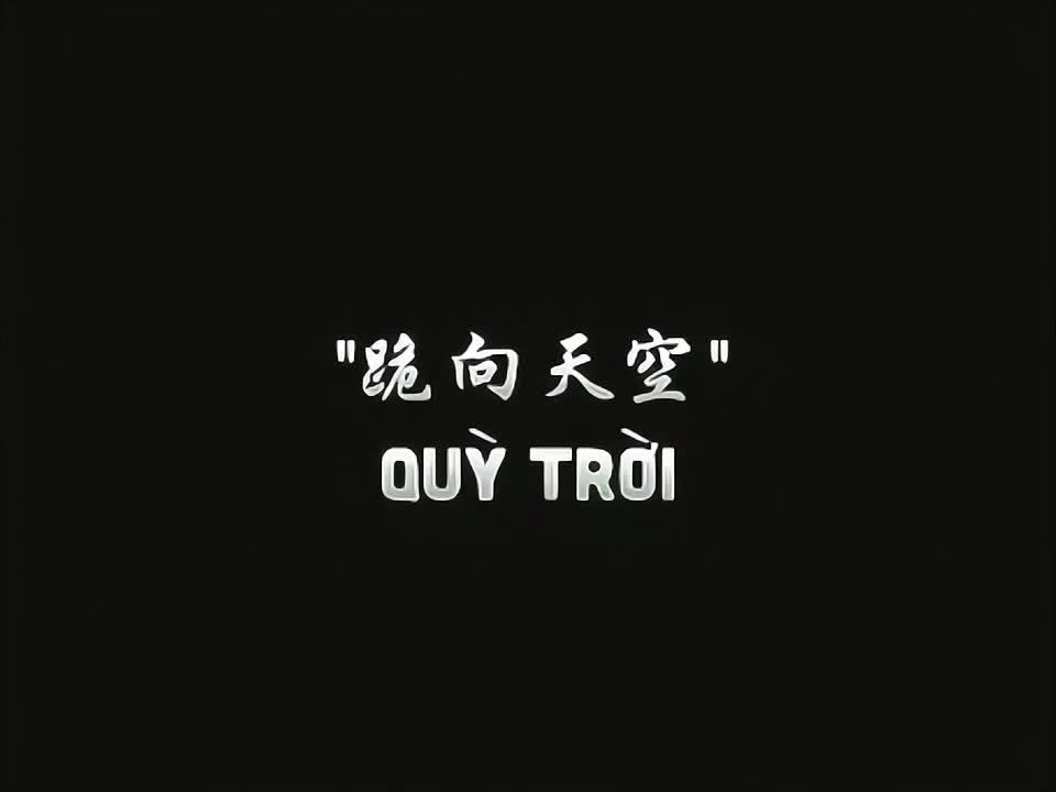 @Qinn
