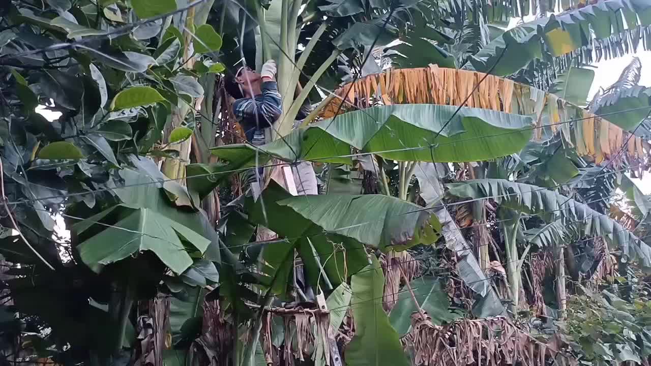 @R4is_saputro