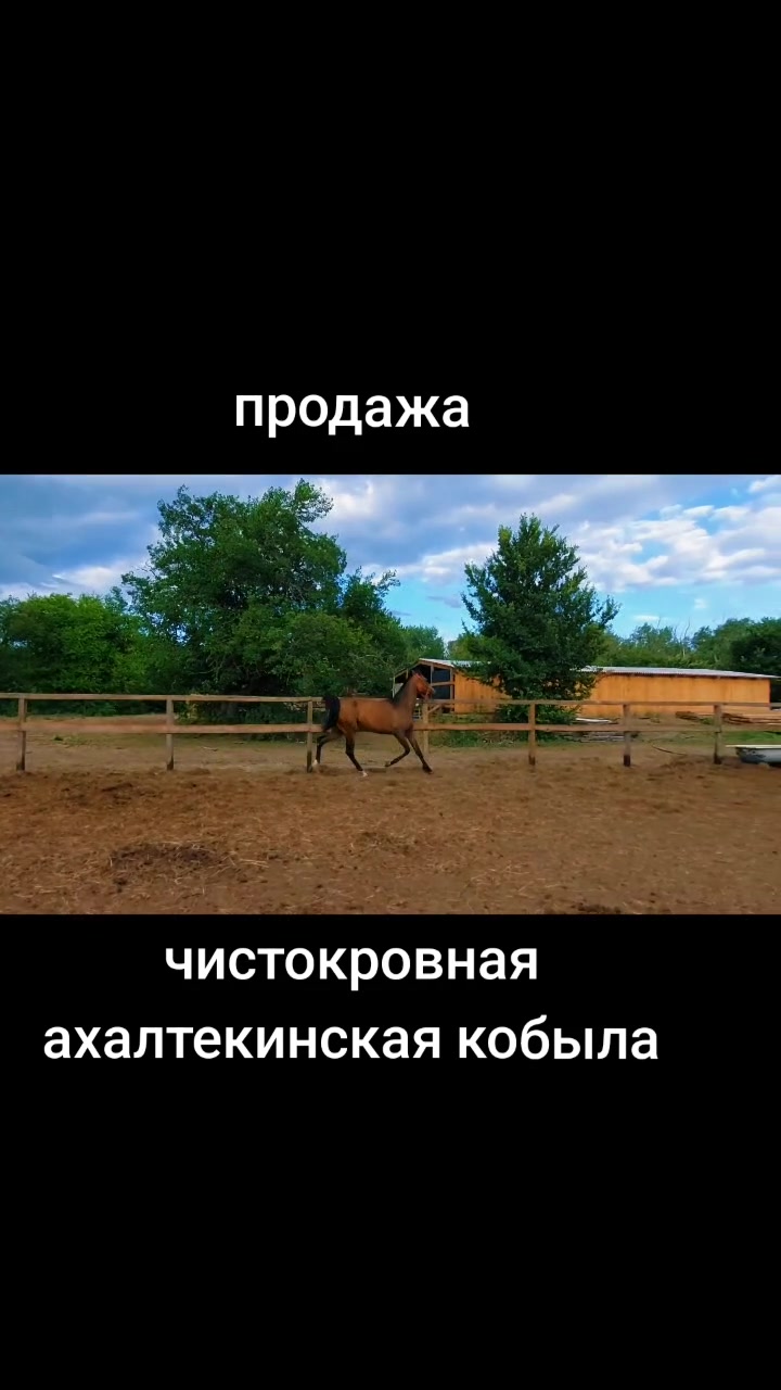 @Александр Червяков