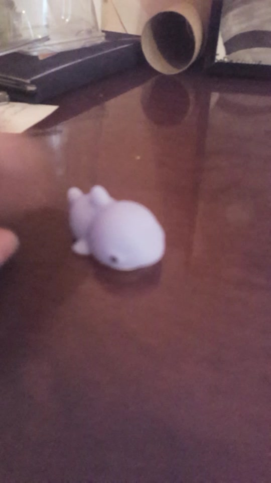 @Mochi Animals