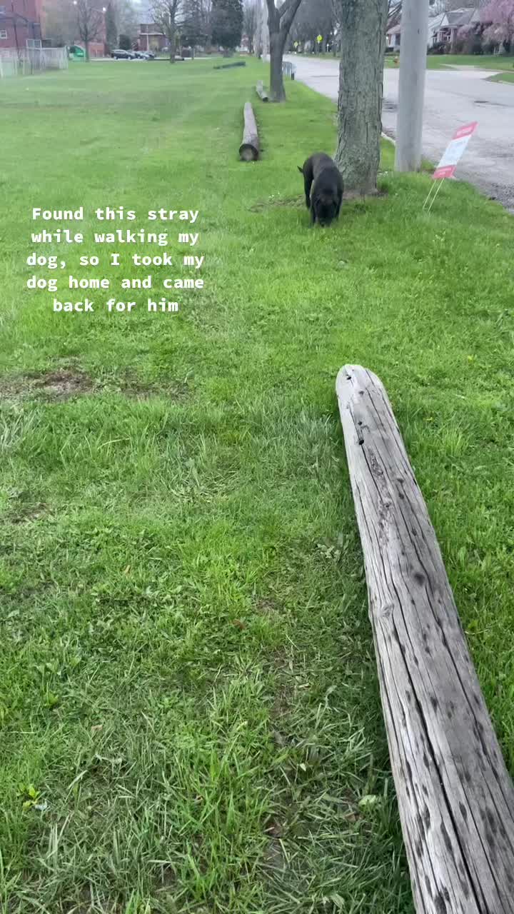 @SamsonsRed