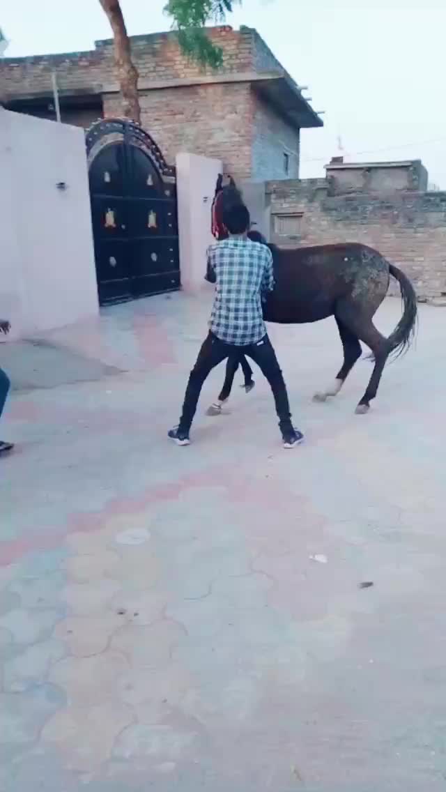 @🐎Mr ભોજાવદર વાળા🐎