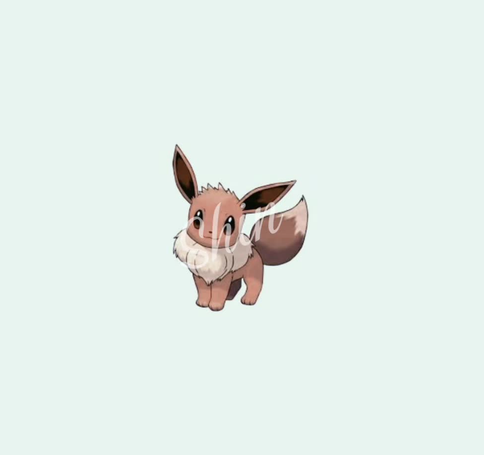 @·★𝓼𝓱𝓲𝓷★·