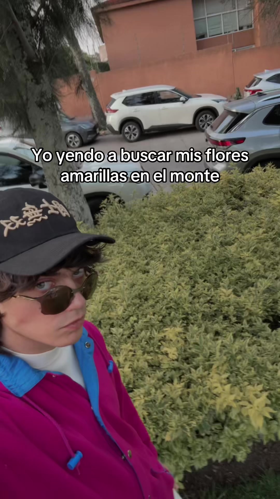 @Daniel Serti