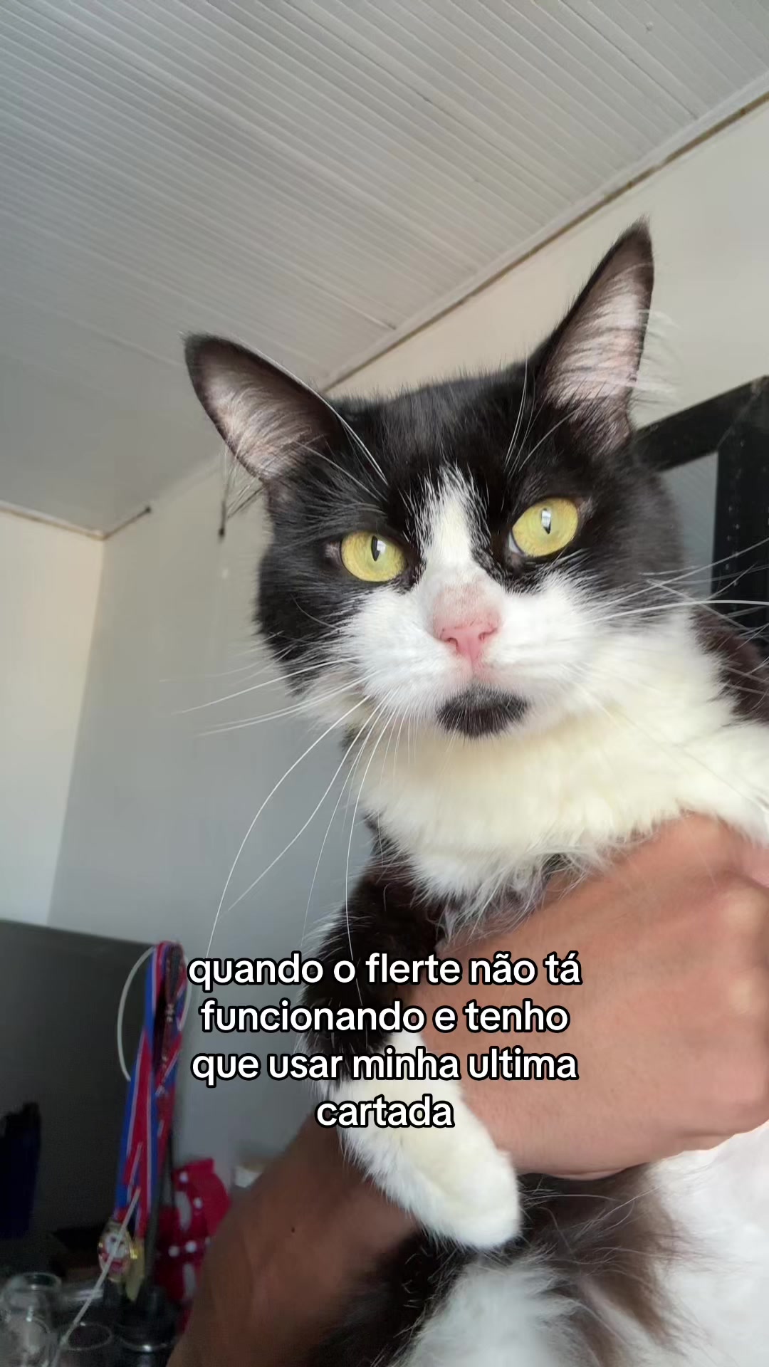 @Ataíde rs