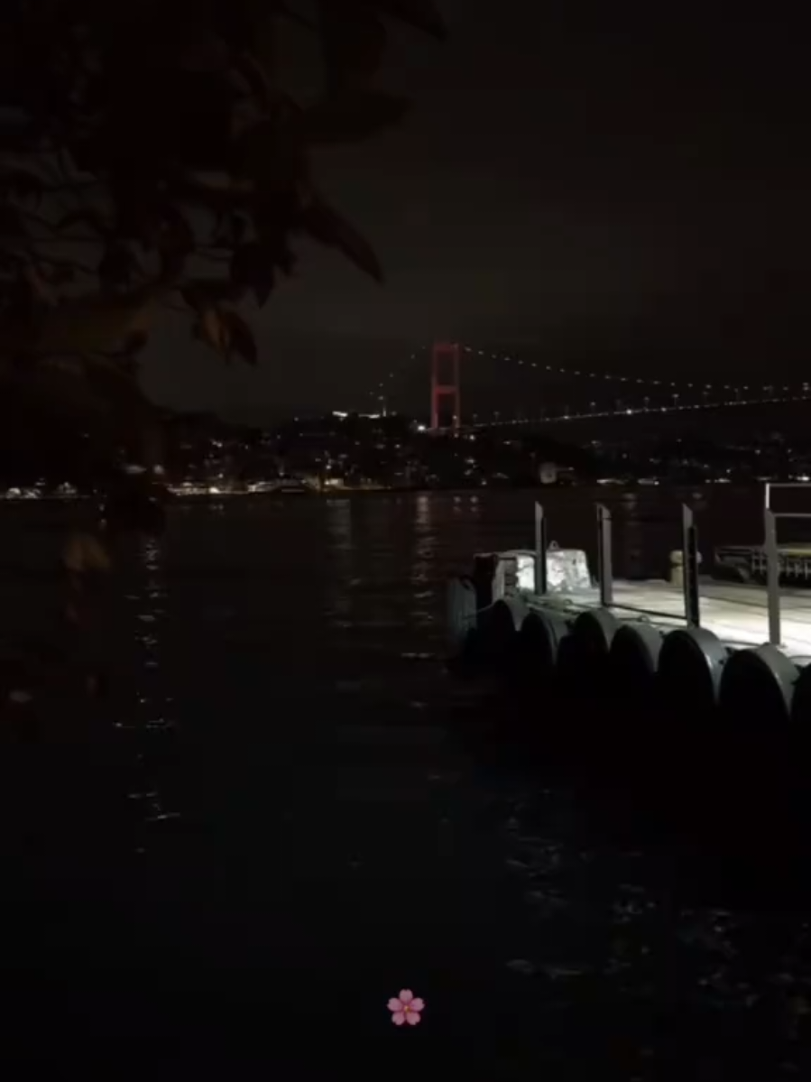 @đđąđŞđ¸đź đ đžđŽđŽđˇđđ