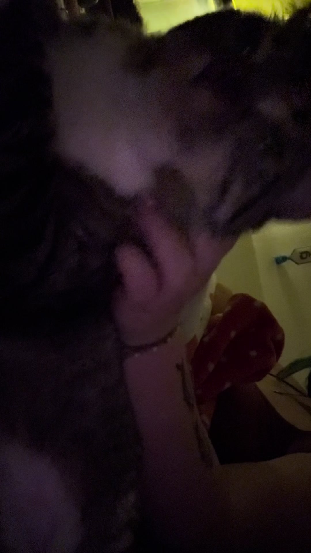 @Buglover6000