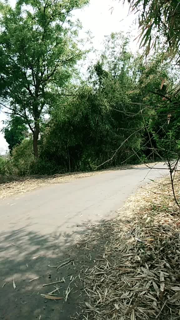 @Shambhu khabale