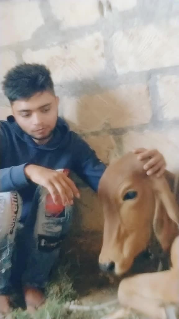 @rutu patel