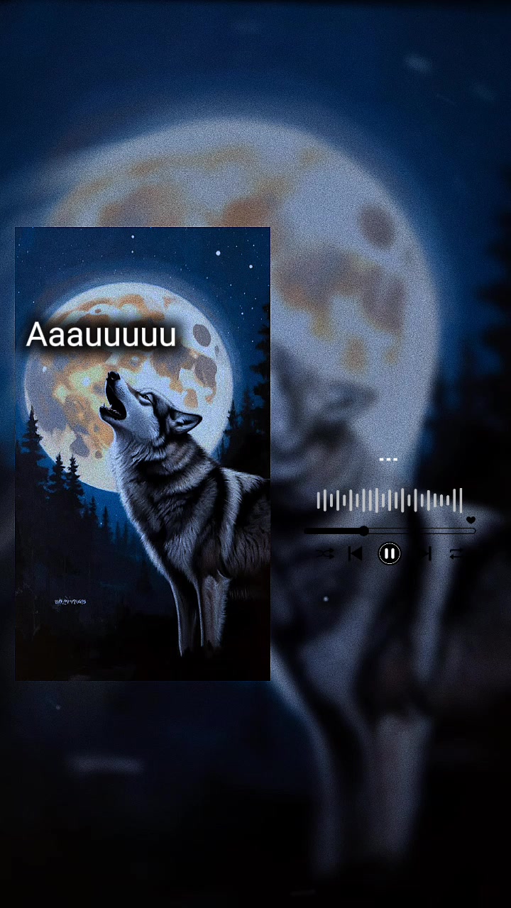 @🥷🎶🐺Lóbítá🫶Dj🐺🎶🥷
