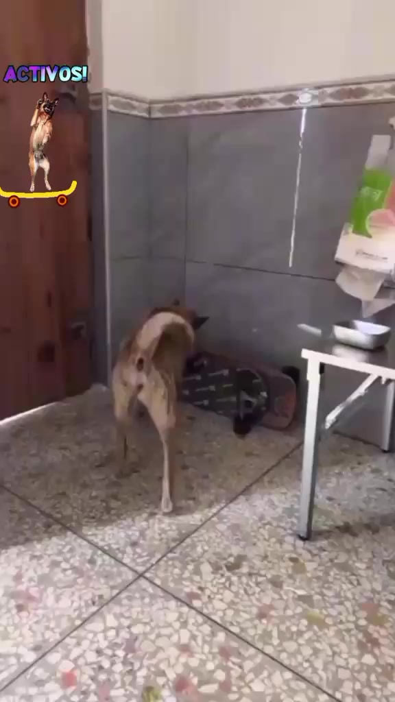 @CARMEN NATURALEZA.