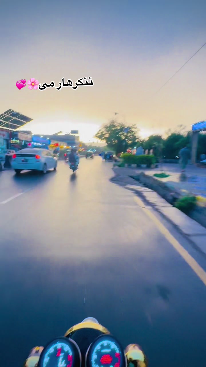 @خوګیانیول صاحب🩶🇦🇫
