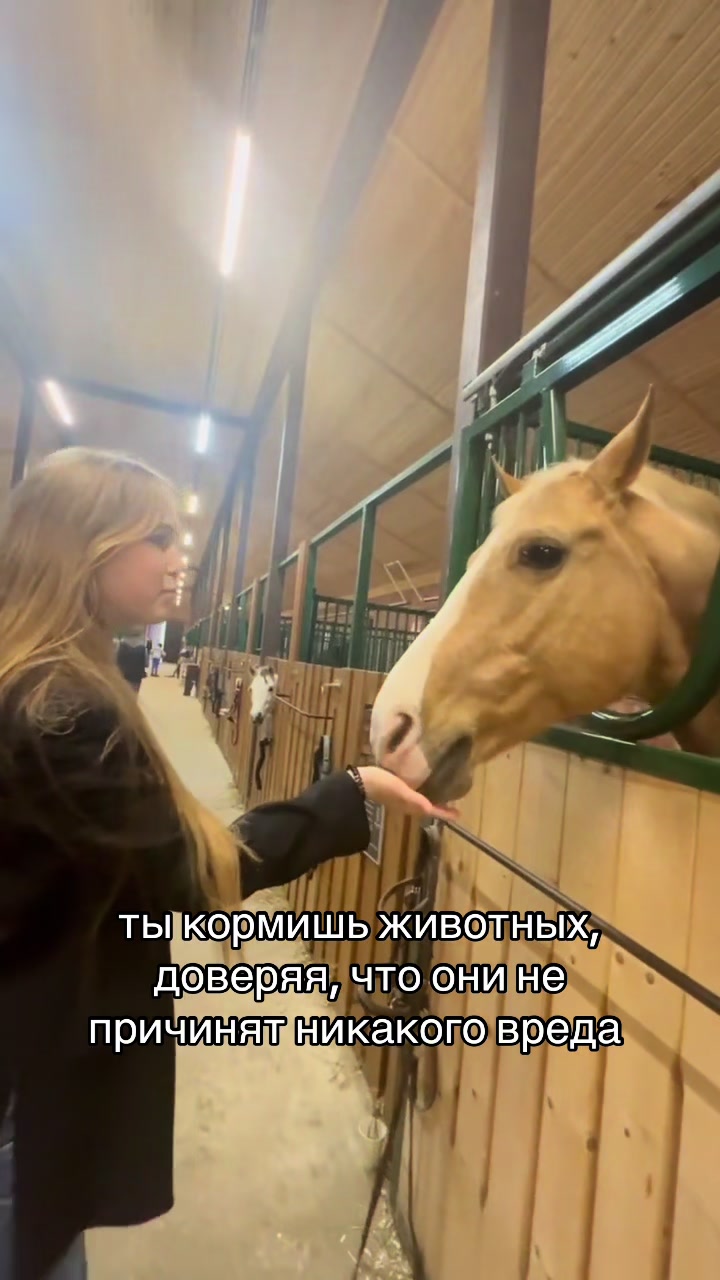 @кирунс