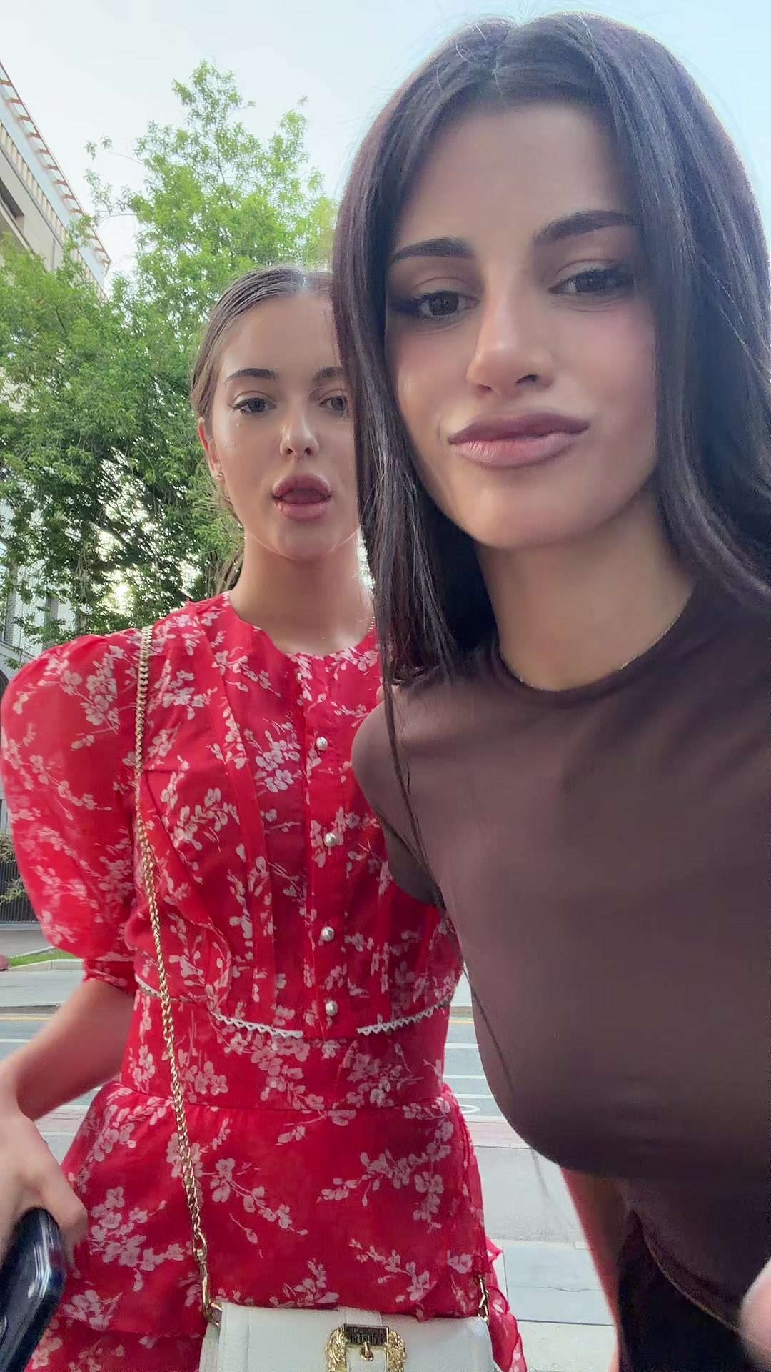 @lamimvl