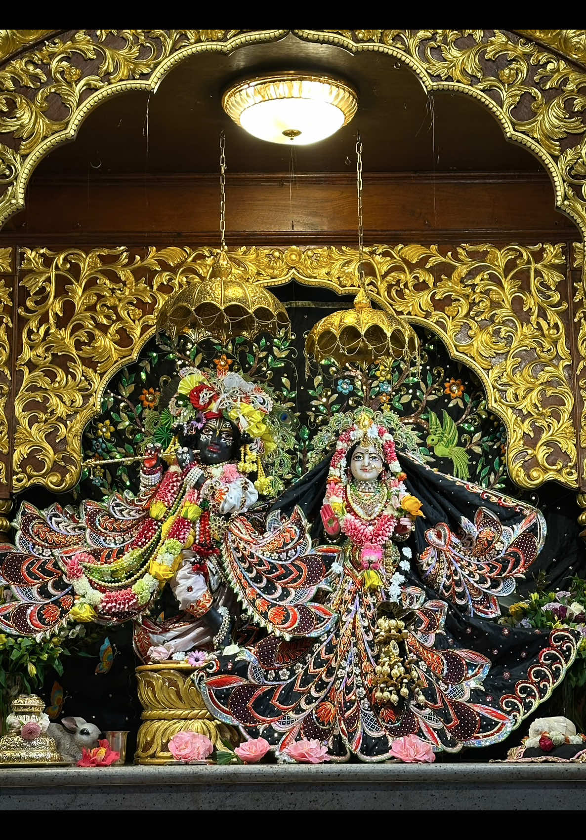 @vikasjockey