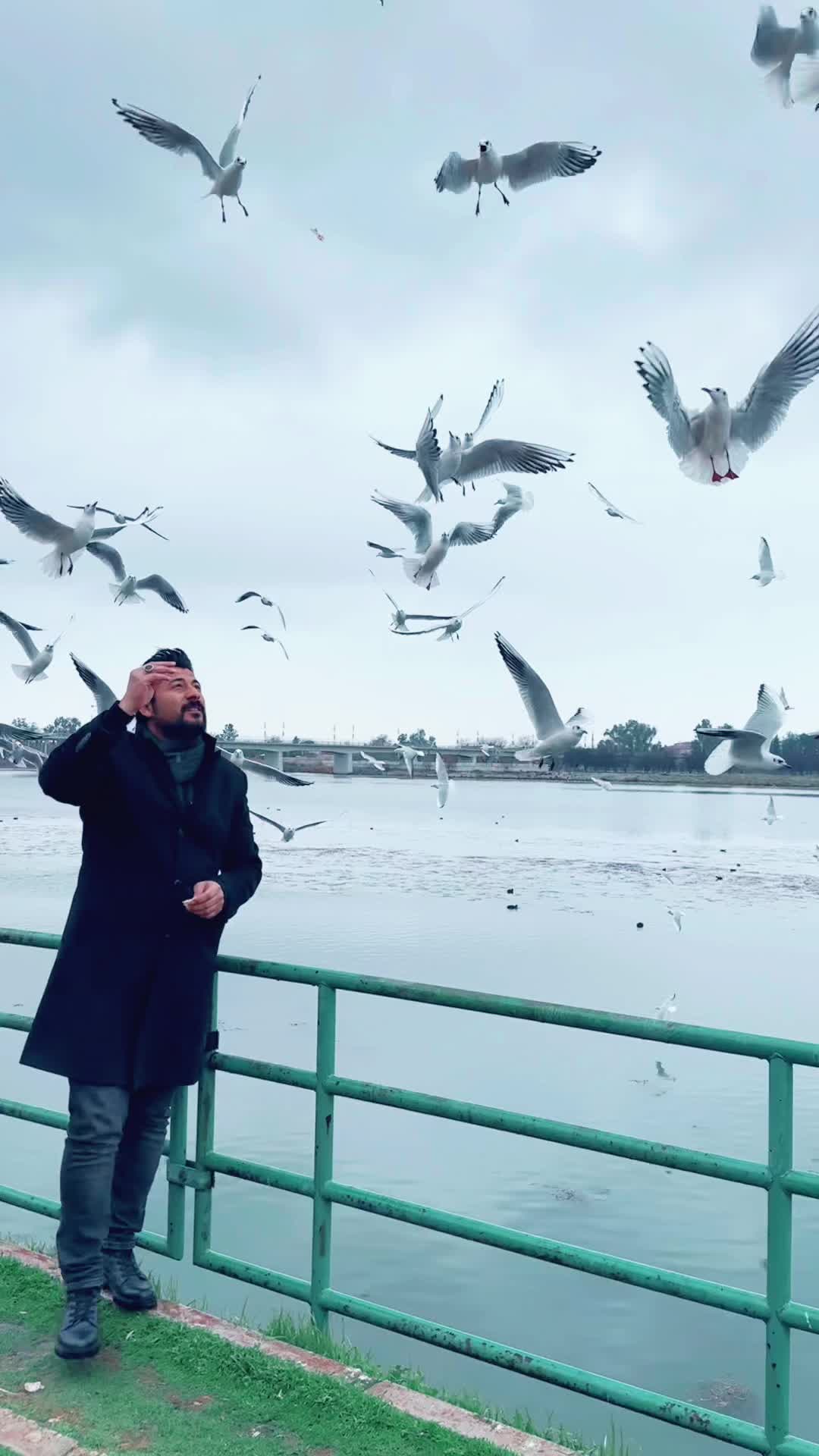 @mustafa çifçi 🌾