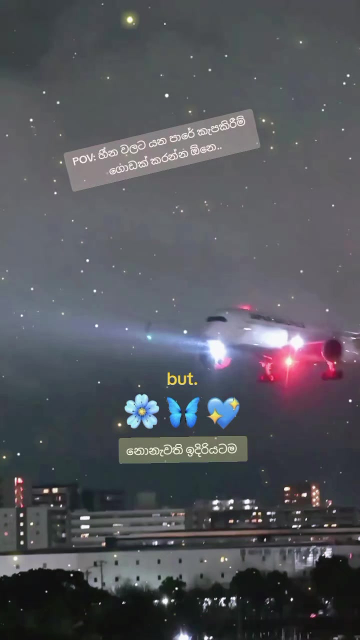 @🛩️SKYBOUND DREAMS🪻