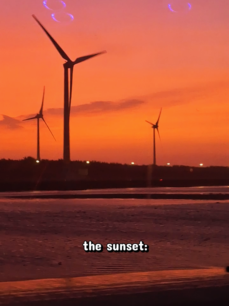 @Cai