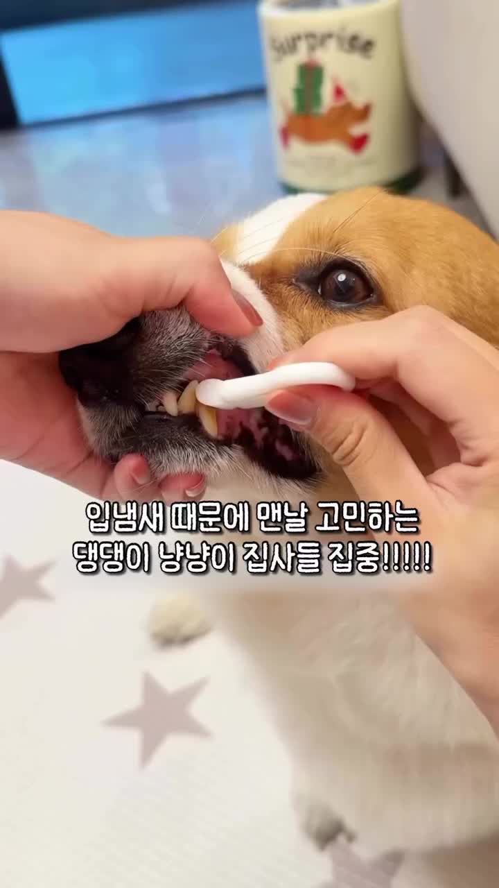 @Eson_이슨