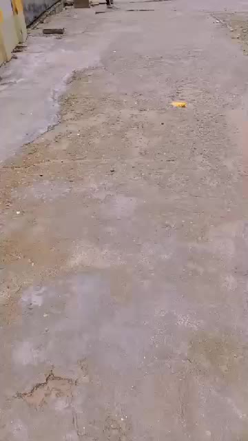 @isabelmary831