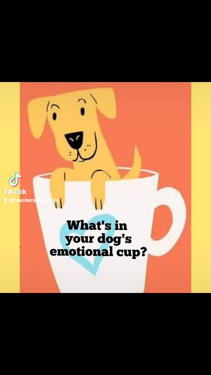@TeachersPetSitting