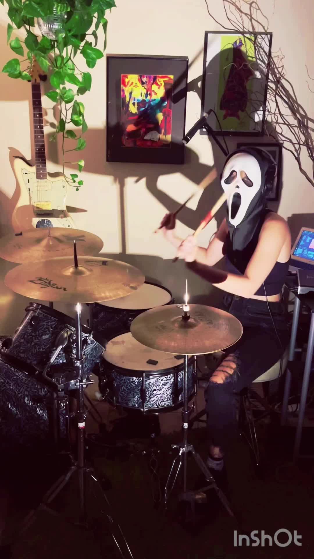 @🪲🕸️🪲🕸️🪲🕸️
